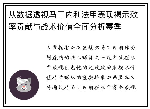 从数据透视马丁内利法甲表现揭示效率贡献与战术价值全面分析赛季